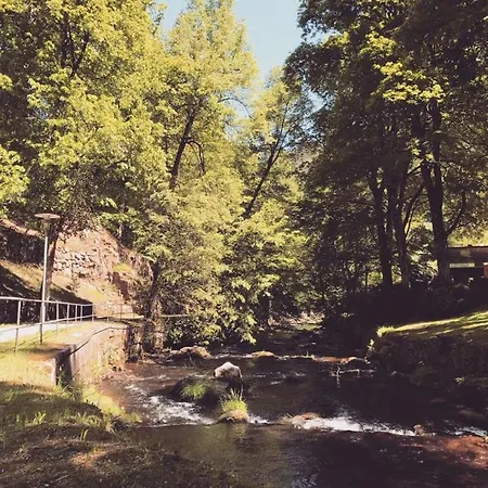 Schwarzwald Maedl Bad Wildbad