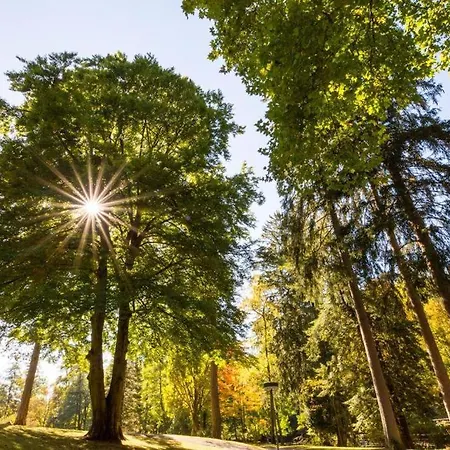 Schwarzwald Maedl 公寓