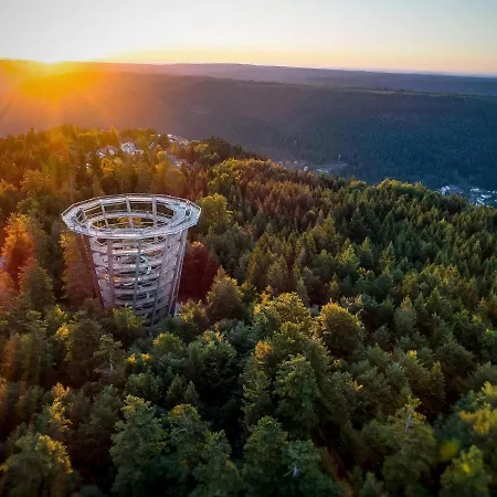 Lägenhet Schwarzwald Maedl