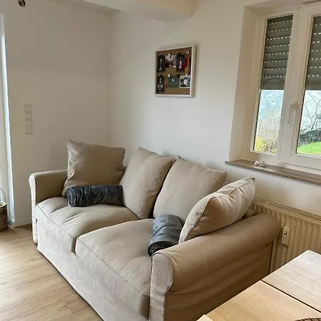 Schwarzwald Maedl 公寓 *