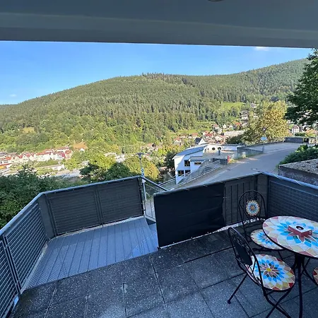 Schwarzwald Maedl 公寓 巴特维尔德巴德