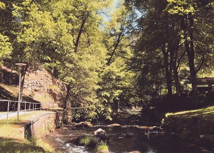 Schwarzwald Maedl باد ويلباد