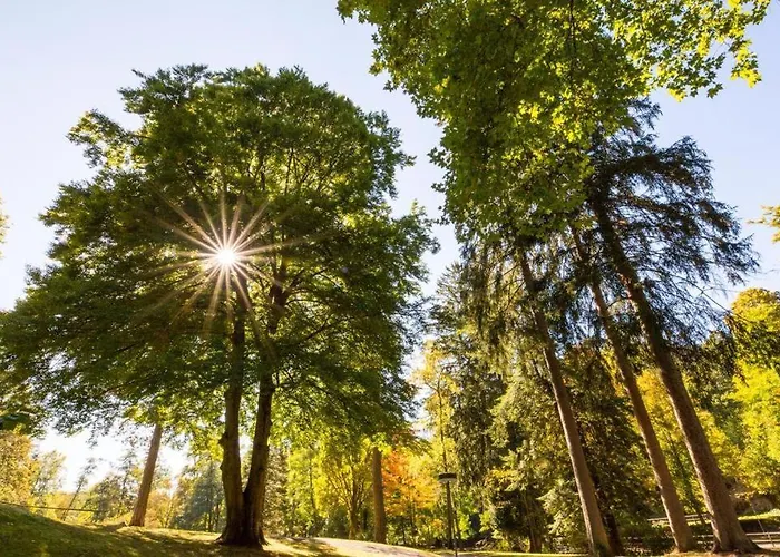Schwarzwald Maedl شقة