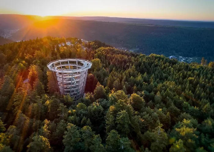 Apartamento Schwarzwald Maedl