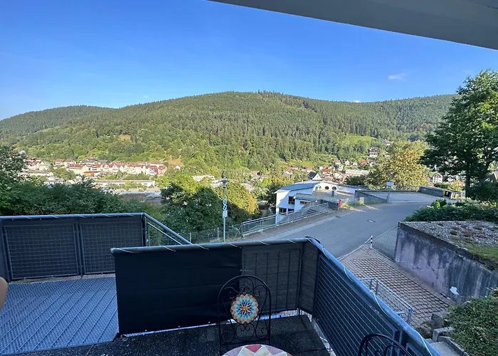 Schwarzwald Maedl شقة باد ويلباد